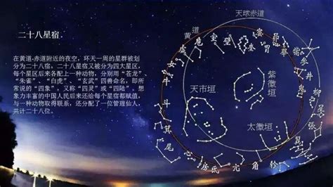 二 十 八 星宿 东青龙